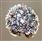  Seed